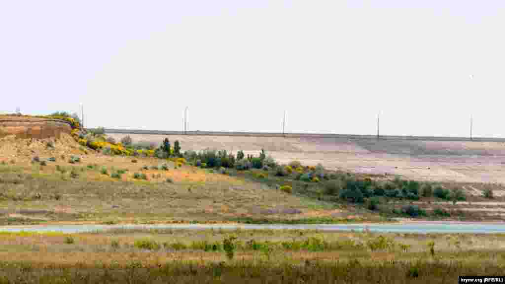 На противоположном берегу – цветущие кустарники метельника ситникового