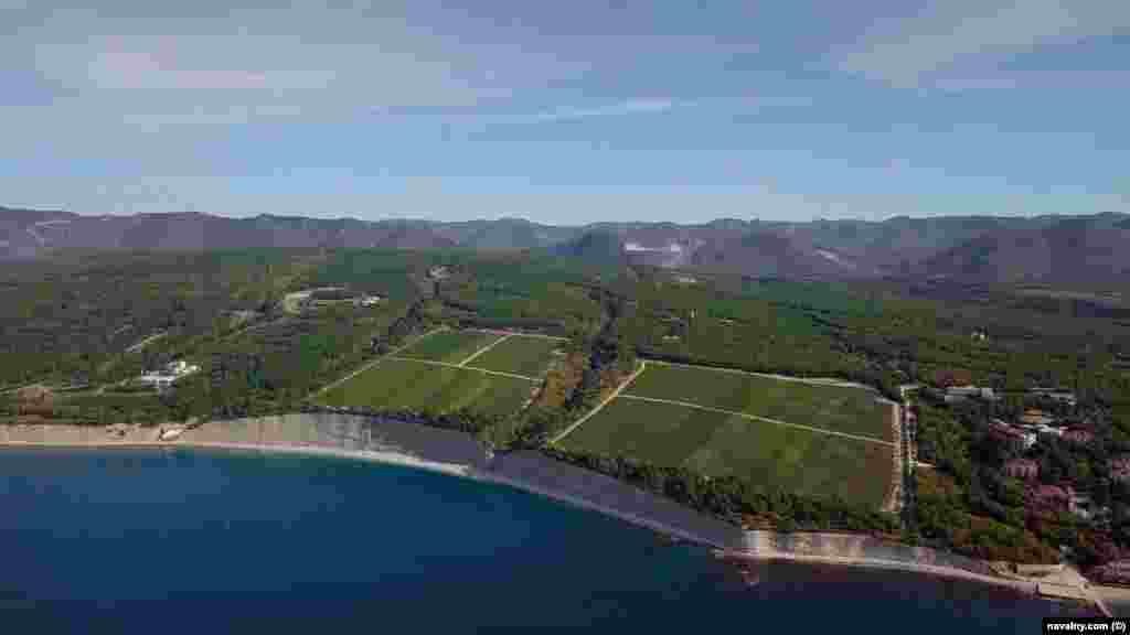 На виноробні ростуть величезні ряди виноградної лози. Замок можна побачити ліворуч на цьому зображенні. Як зазначає Навальний, вино з цього виноградника подають на багатьох офіційних закладах Кремля