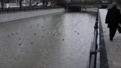 Наполнили ли осадки Салгир? Как сейчас выглядит главная река Симферополя (видео) Наполнили ли осадки Салгир? Как сейчас выглядит главная река Симферополя (видео)