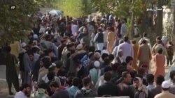 کابل کې د پاسپورټ دفتر مخې ته سلګونو خلک په قطارونو ولاړ دي کابل کې د پاسپورټ دفتر مخې ته سلګونو خلک په قطارونو ولاړ دي