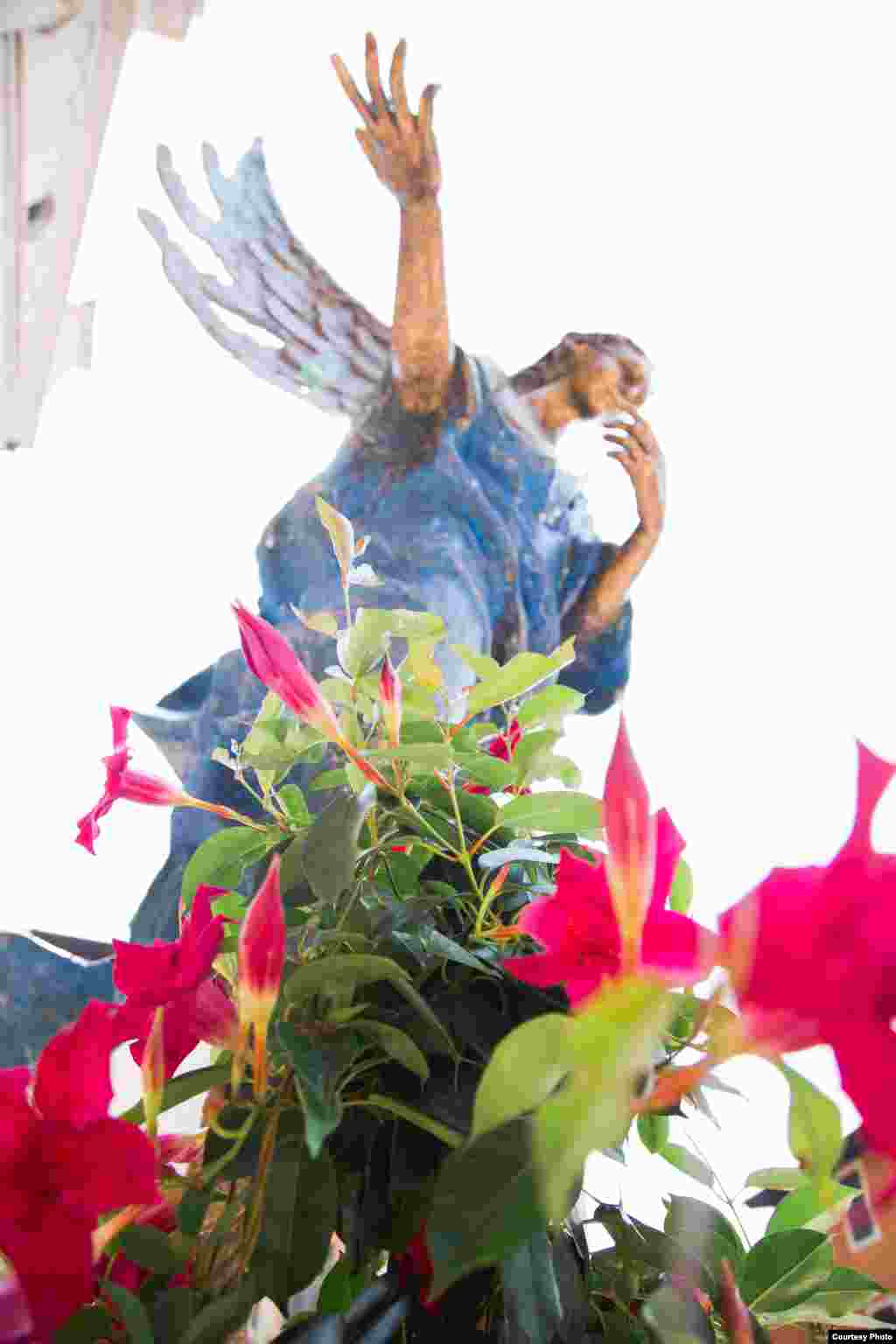 Албано Поли. "Голубой ангел" 