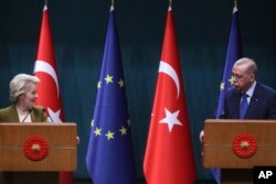 Президентка Європейської комісії Урсула фон дер Ляєн і президент Туреччини Реджеп Ердоган в Анкарі в грудні 2024 року