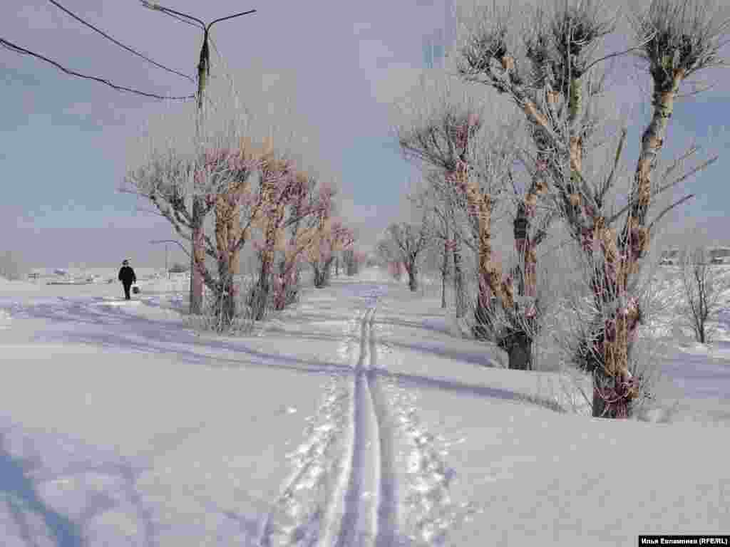 В 2011-2012 году на набережной вырубили пышные тополя. На этом снимке, сделанном в марте 2011 года, тополя еще есть...   