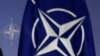 Население Польши проявляет растущую поддержку НАТО 