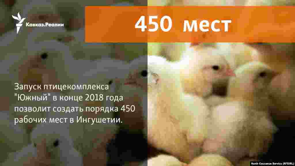 12.12.2017 // Запуск птицекомплекса "Южный" в Малгобекском районе Ингушетии по выращиванию и переработке мяса индейки позволит создать более 450 рабочих мест в республике  