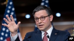 Спікер Палати представників Конгресу США Майк Джонсон