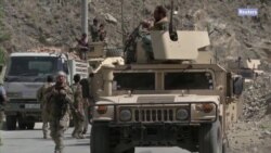 Много ли в России симпатизирующих талибам? Много ли в России симпатизирующих талибам?