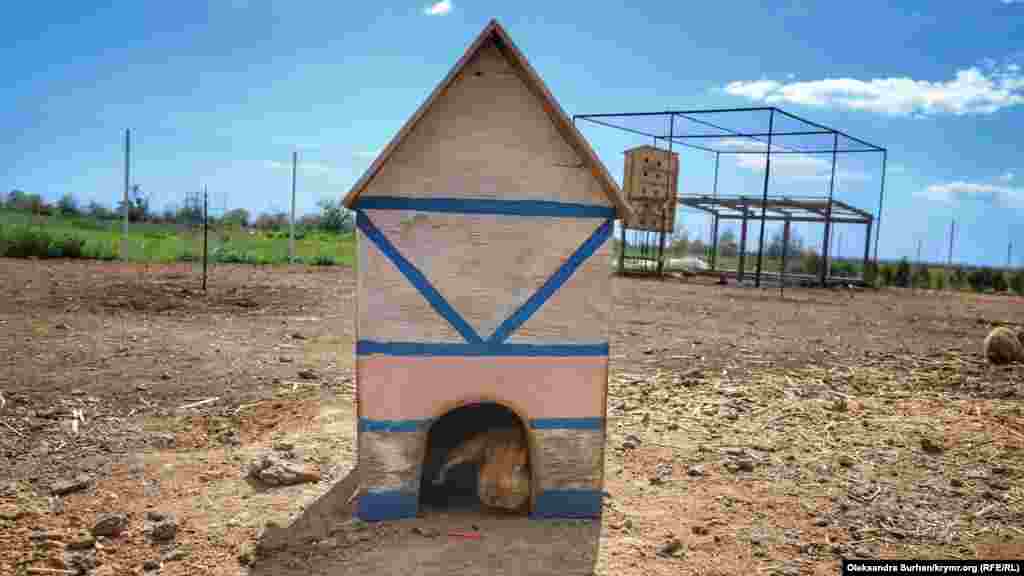 На территории поля стоят несколько домиков для животных  