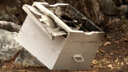 Dani kad su i pčele gorjele: Posljedice požara oko Podgorice Dani kad su i pčele gorjele: Posljedice požara oko Podgorice