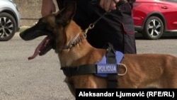 Policijski pas u Crnoj Gori
