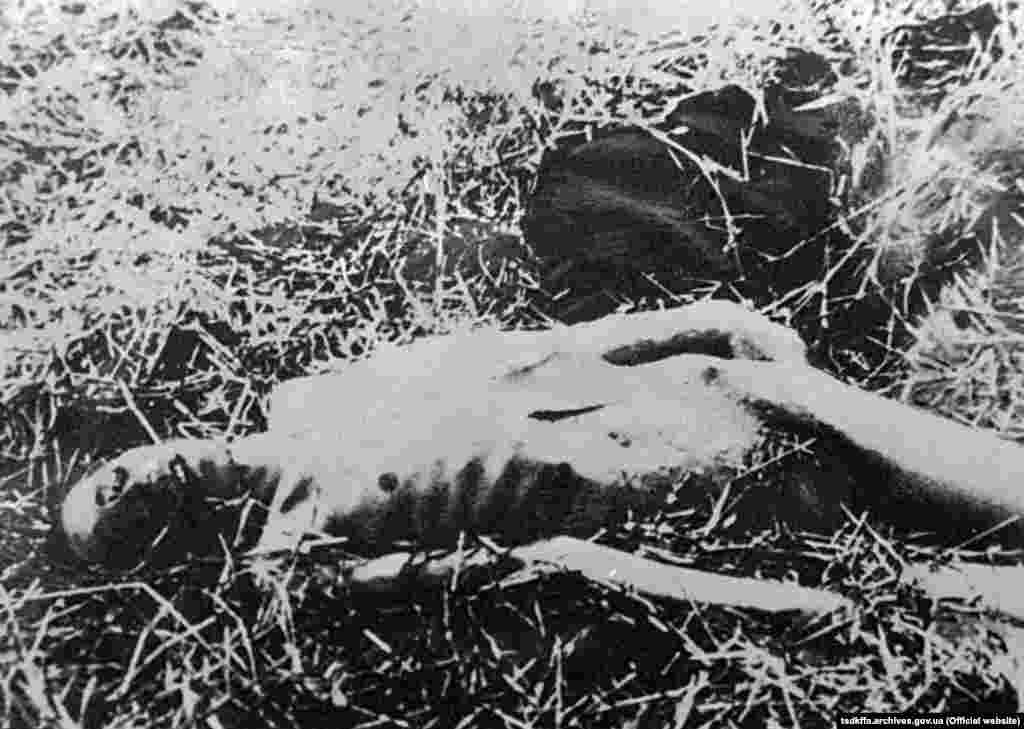  Жертва голоду. Місце і дата зйомки: УССР, 1932-1933 рр