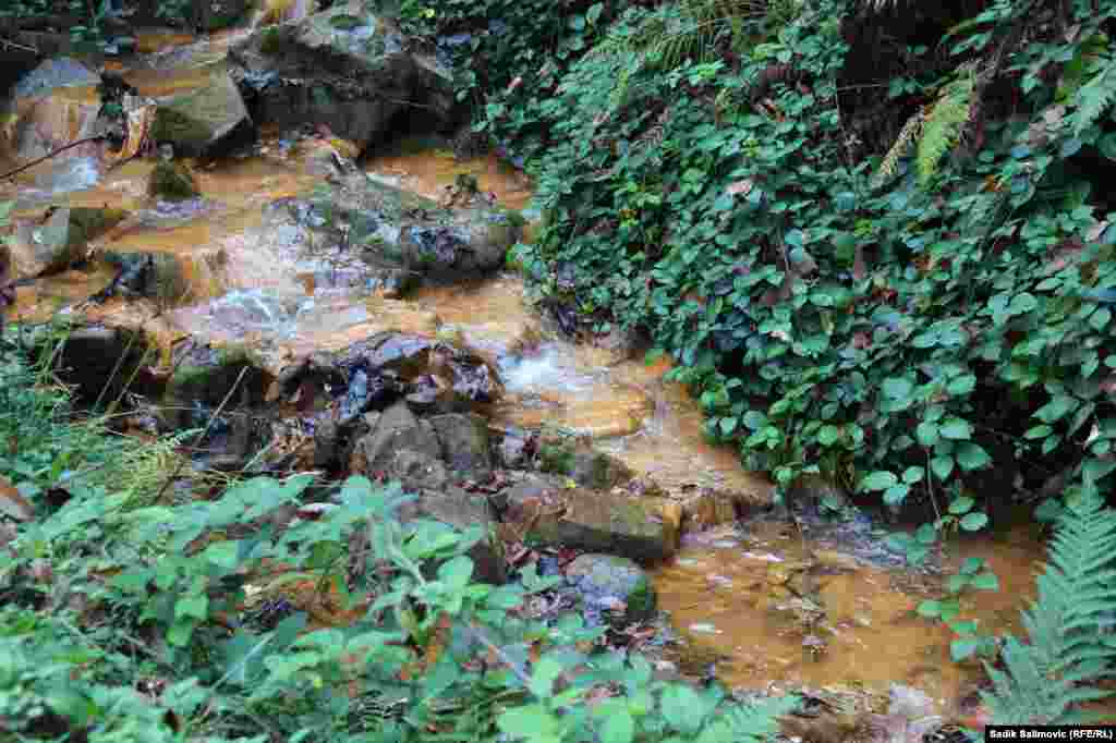 Nekada lijek za brojne pacijente – ljekovite vode Gubera, bar one koje nisu presušile, slijevaju se u potok i ulijevaju u rijeku Drinu.
