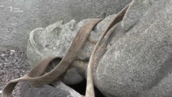 Пам'ятник Фрідріху Енгельсу із України везуть до Британії (відео) Пам'ятник Фрідріху Енгельсу із України везуть до Британії (відео)