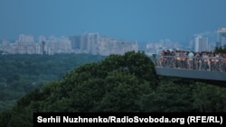 Цього року в столиці зрубали 2595 аварійних та 597 сухостійних дерев