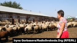 Чимало українських селян працюють на своїх паях самостійно