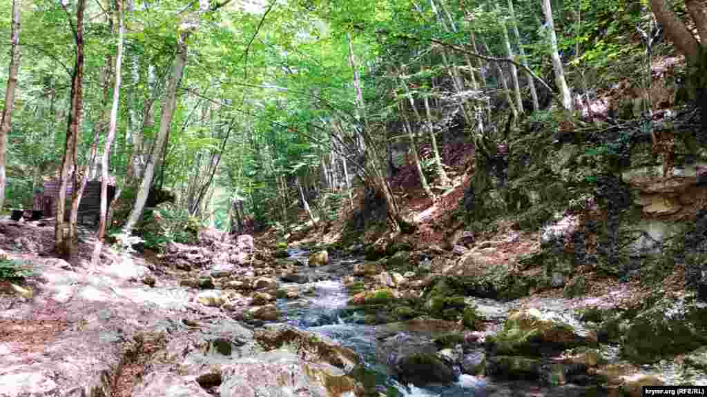 Река создала несколько подобных «ванн», но эта относится к числу крупнейших