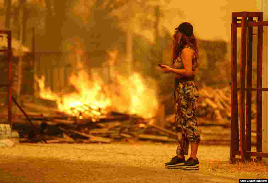 Влада розслідує причини пожеж. Але Фахреттін Алтун, директор з комунікацій президента Туреччини, припустив у твіттері, що причиною пожеж став підпал, і додав, що «відповідальним за це доведеться відповідати за напади на природу та ліси»