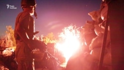 Стрілянина під Горлівкою: бойовики провокують військових тваринами – відео Стрілянина під Горлівкою: бойовики провокують військових тваринами – відео