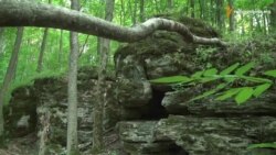 Повстанськими стежками, або Подорож у «Пекло» Повстанськими стежками, або Подорож у «Пекло»