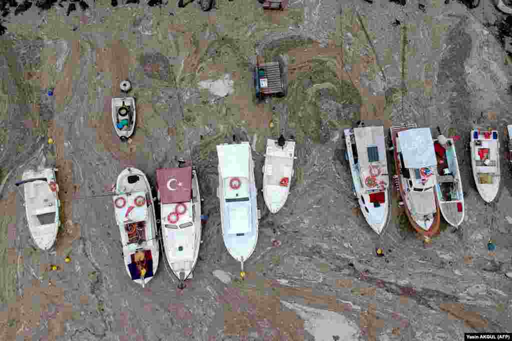 По оценкам ученых, именно изменение климата и его загрязнение способствовали образованию морской слизи 