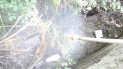 په شبقدر کې د ډینګي ماشو ضد دوا وپاشل شوه په شبقدر کې د ډینګي ماشو ضد دوا وپاشل شوه