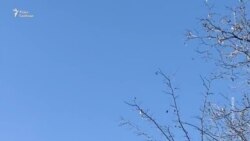 Атака російського БПЛА на авто гуманітарної місії «Проліска»