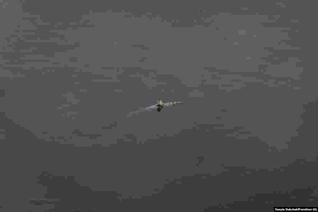 Мертва від хімікатів щука у течії Десни між селами Ягідне та Шестовиця у Чернігівській області. 12 вересня 2024 року. Річки Сейм та Десна самоочищуються, але, за словами директора Інституту гідробіології НАН України Сергія Афанасьєва, це відбувається поступово і може тривати роками. За його прогнозами, на відновлення екосистем Десни та Сейму знадобиться 2–3 роки