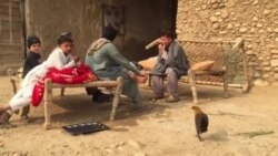 په پاکستان کې د افغان کډوالو ستونزې په پاکستان کې د افغان کډوالو ستونزې