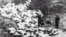 Ukraine -- Shooting of Jewish in Baby Yar, 1941