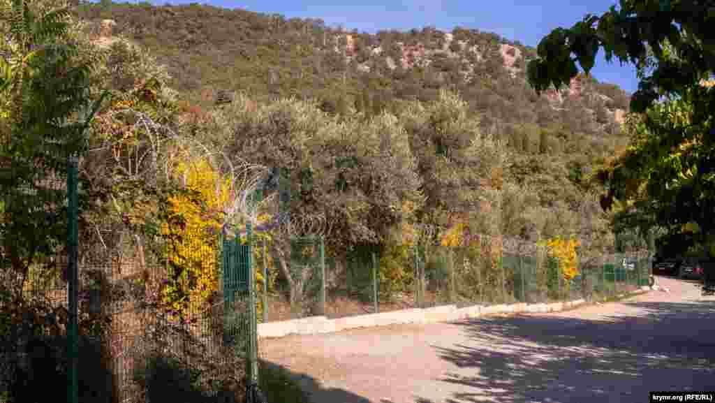 Еще один участок с маслиной, №36, примыкает непосредственно к поселковой морской набережной. Он огражден сетчатым забором с «егозой»