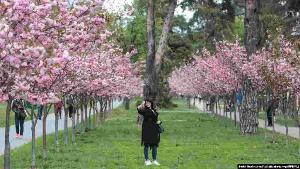 Київ залишається в лідерах за кількістю виявлених випадків коронавірусу в Україні – станом на ранок 4 травня було 1535 підтверджених випадків коронавірусного захворювання 