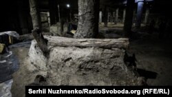 Археологічні знахідки. Поштова площа. Київ. 4 вересня 2018 року