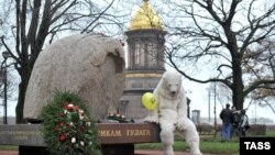 Активист "Гринпис" после акции в поддержку арестованных на платформе "Приразломная"