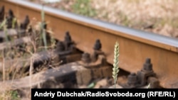 Затриманими є двоє місцевих жителів віком 17 та 18 років, які шукали «легкі» гроші на тематичних телеграм-каналах. Фото ілюстративне 