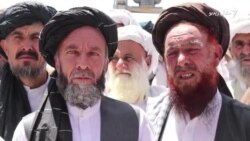 پښين کې د نشيي توکو پر ضد لاريون شوی پښين کې د نشيي توکو پر ضد لاريون شوی