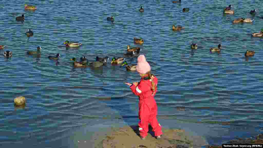 На ладошке девочки – лакомство для птиц