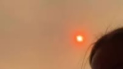 Видео из дома в Лос Анжелесе известного фотографа Саши Самсоновой.mp4 Видео из дома в Лос Анжелесе известного фотографа Саши Самсоновой.mp4