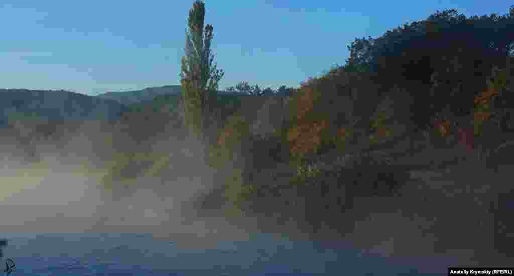 «Кипение» сельского пруда