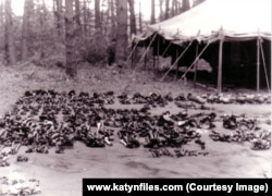 Мідне, результат ексгумації. Серпень 1991 року