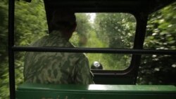 Узкол | Признаки жизни Узкол | Признаки жизни