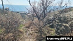 Ручей у Церкви Двенадцати Апостолов в окрестностях Судака