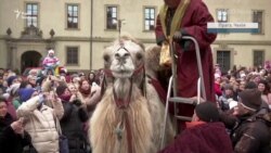 Три царі на верблюдах проїхалися Прагою – відео Три царі на верблюдах проїхалися Прагою – відео