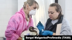 Спасение птиц в Краснодарском крае