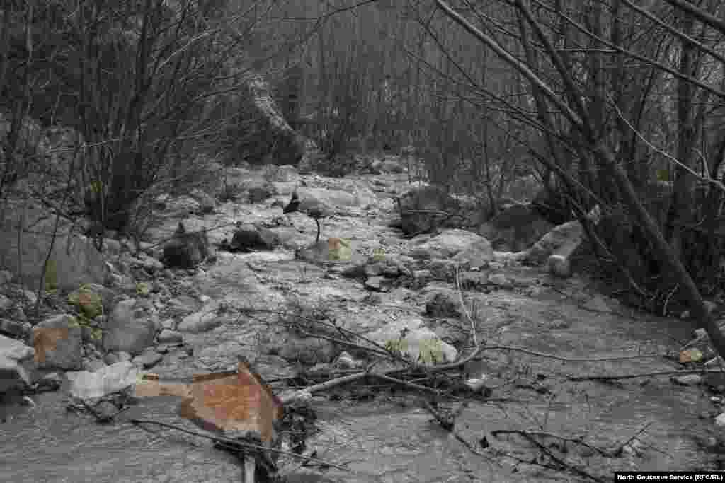 Река Садонка. В 2002 году  из-за обильных дождей на на поселок обрушился селевой поток, который практически уничтожил Садон, погибли люди. 