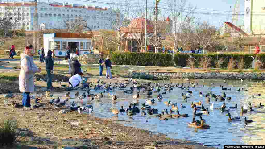 У входа на пляж «Омега» образовался настоящий птичий базар