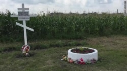 Очевидцы о крушении "Боинга" в небе над Донбассом Очевидцы о крушении "Боинга" в небе над Донбассом