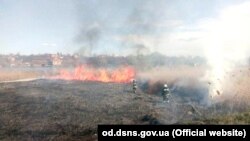 У Держагентстві нагадали, що підпал сухої трави чи сміття є адміністративним порушенням і карається законом