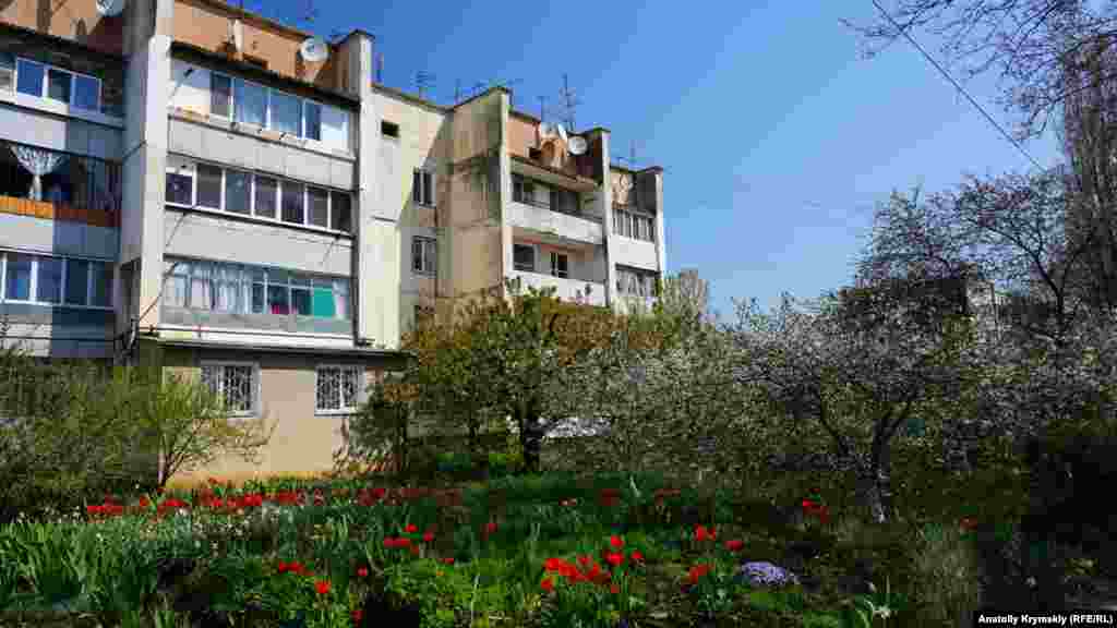 Цветущая Школьная – центральная улица села