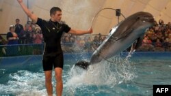 Иллюстрационное фото