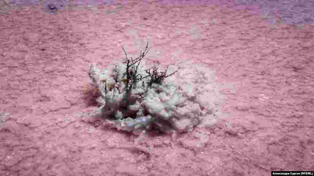 Однак ступати по білій соляної кромці потрібно дуже обережно. Інакше є ризик провалитися у в'язку грязь під шаром солі